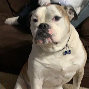 Meet your Posher, Marco